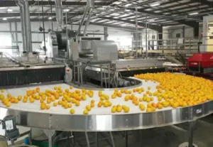 fruit-processing